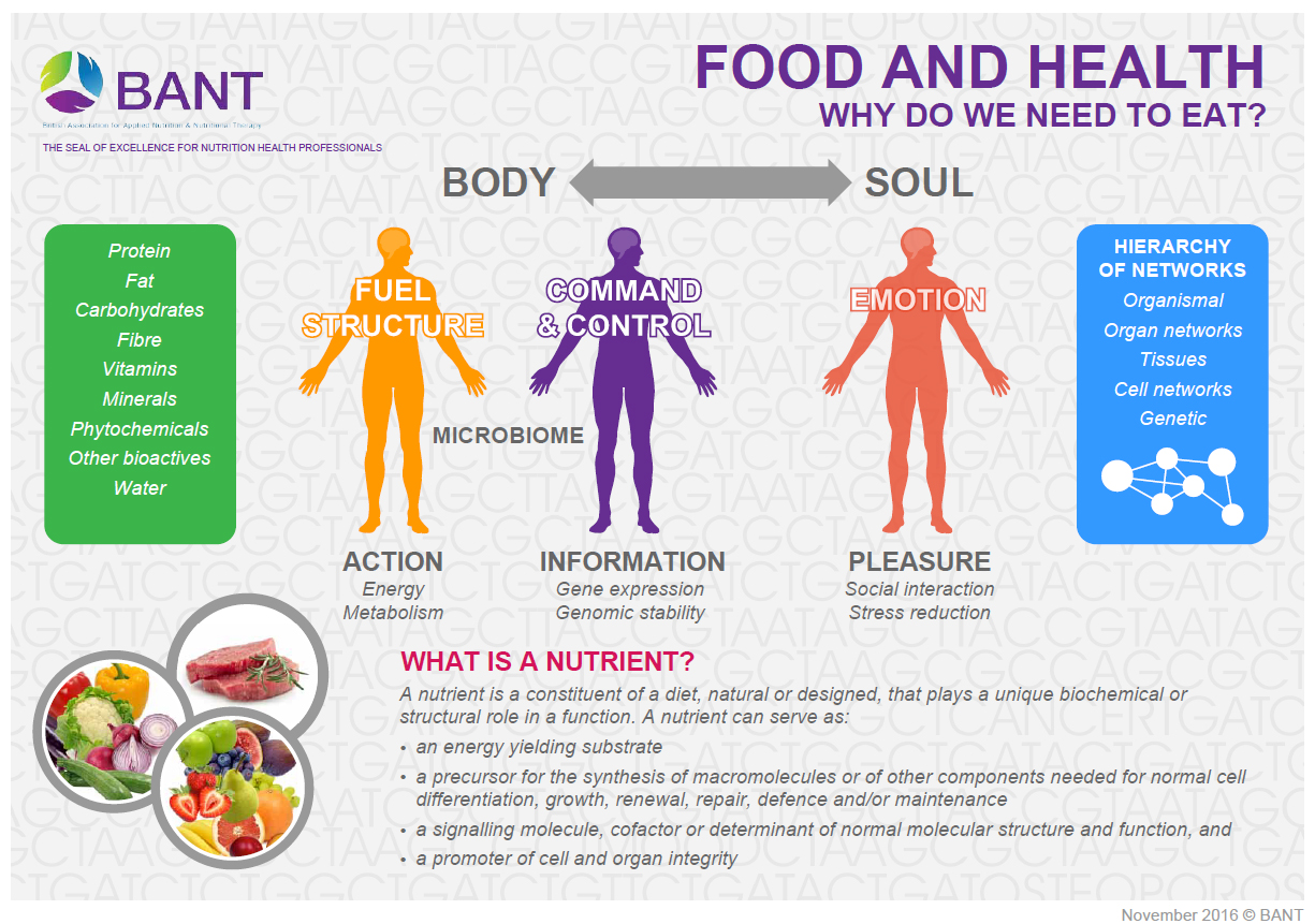 bant-wellbeing-guidelines-bant