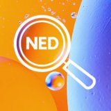 NED Info Bites