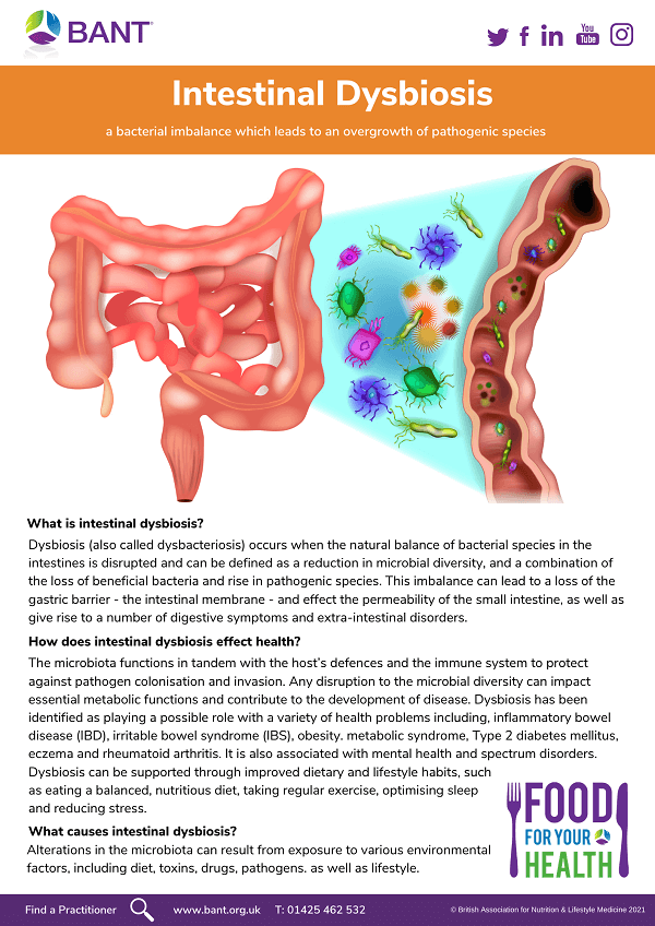 Getting To Grips With Gut Health: The Doom Of Dysbiosis - Part 2 – BANT